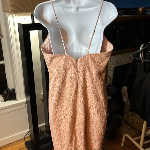 Gorgeous Bardot nude lace dress, size 10. - Picture 4 of 8